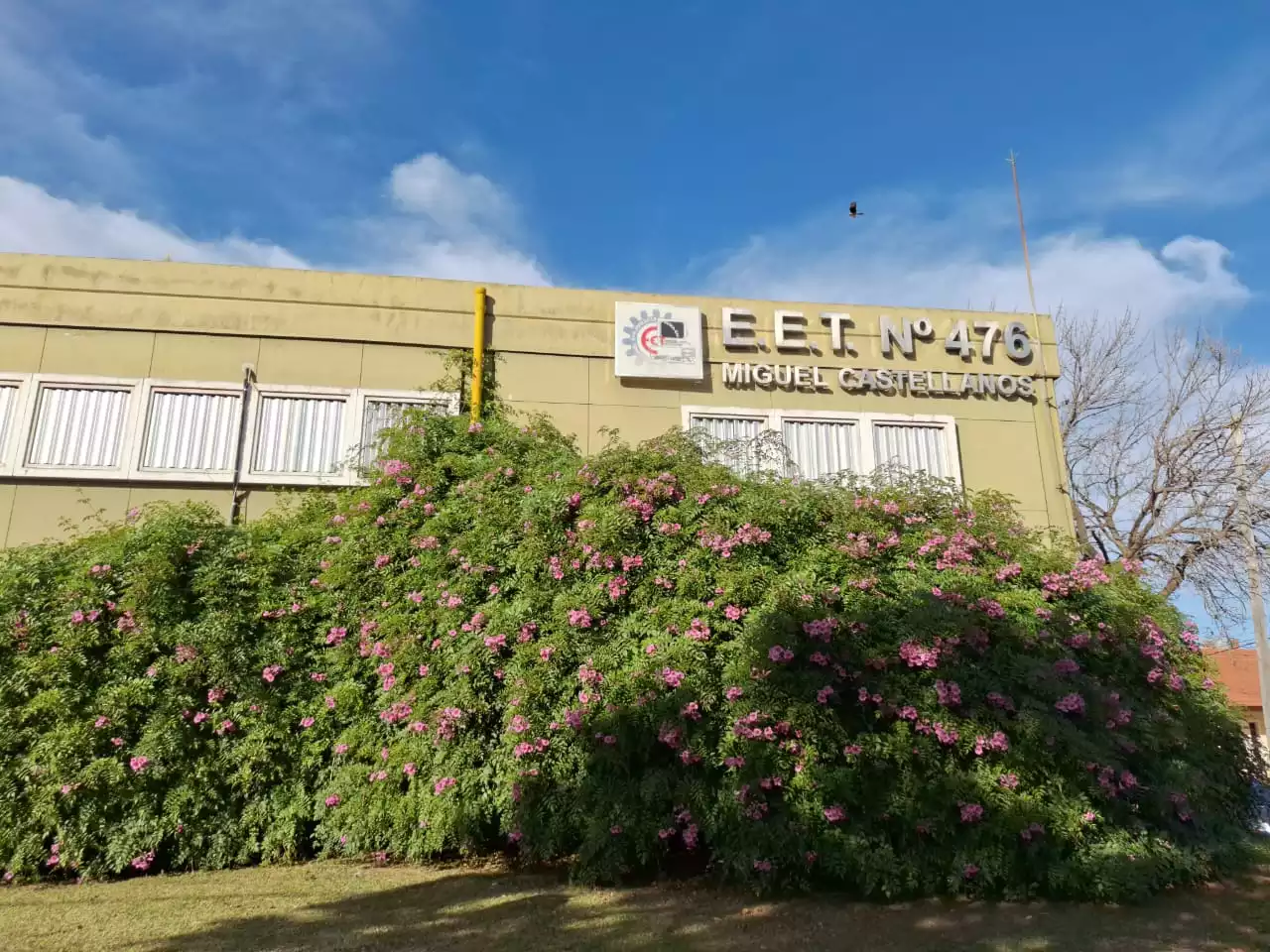 imagen no encontrada